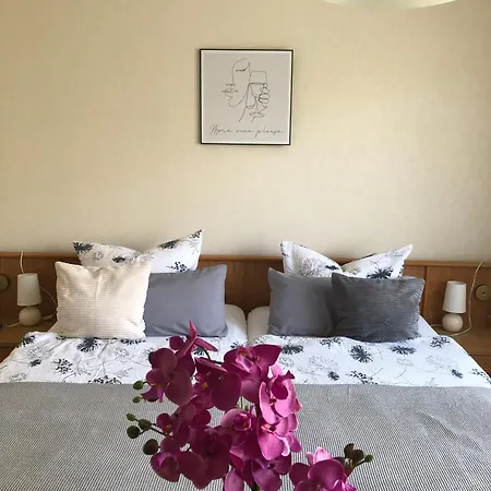 Haus Milaneva 게스트하우스 3*